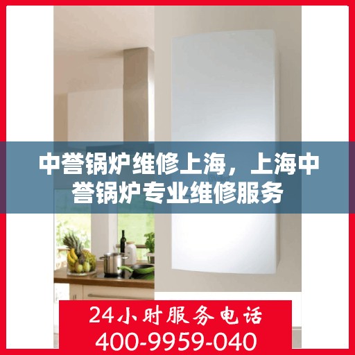 中誉锅炉维修上海，上海中誉锅炉专业维修服务