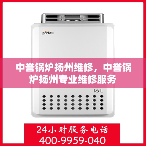 中誉锅炉扬州维修，中誉锅炉扬州专业维修服务
