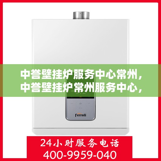 中誉壁挂炉服务中心常州，中誉壁挂炉常州服务中心，专业维修与贴心服务