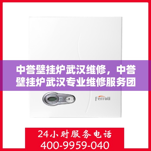 中誉壁挂炉武汉维修，中誉壁挂炉武汉专业维修服务团队解析与解决方案